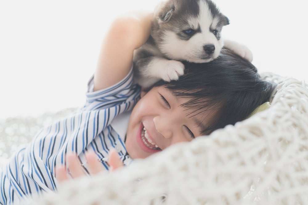 Child and puppy